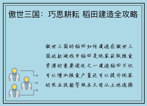 傲世三国：巧思耕耘 稻田建造全攻略
